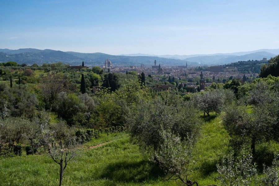 Tuscany Hills Bike Tour with Lunch at farm and Wine Tasting - A Florence viewpoint before the serious hills