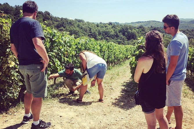 Tuscany Vespa Tours Through the Hills of Chianti - Lunch at a Tuscan villa or castle