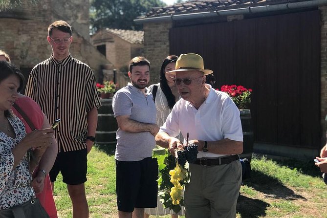 Tuscany Wine & Hills from Florence - Small Group - A full day from Florence into southern Tuscany