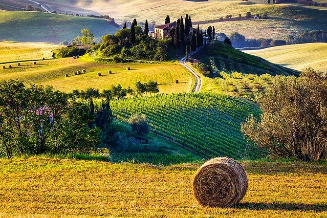 Tuscany Wine & Hills from Florence - Small Group - Montepulciano, steep streets and serious red wine