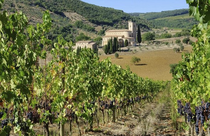 Val d'Orcia Brunello Wine Tour with Montalcino and Montepulciano - Key points at a glance