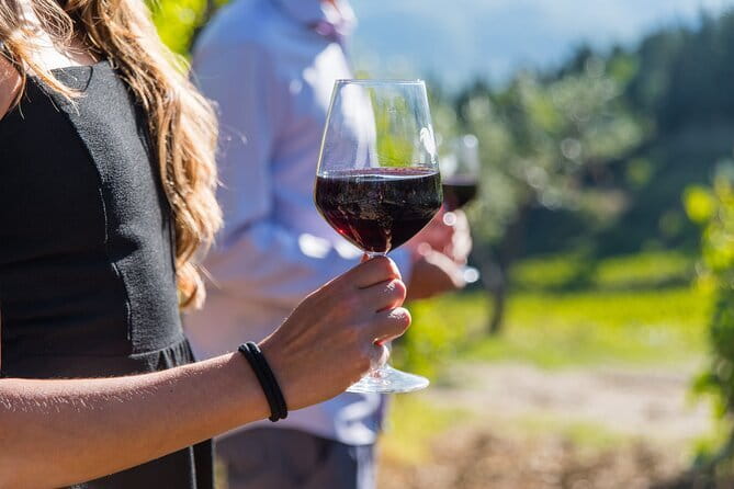 Wine Hiking Sip & Trek - Why this makes a good Florence day trip
