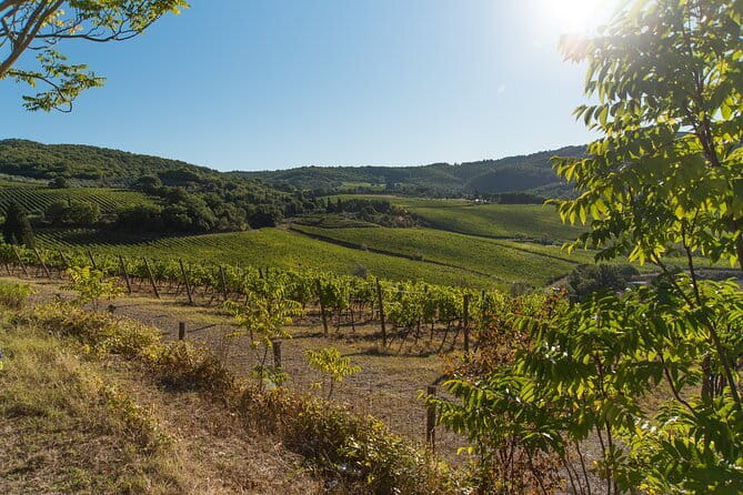 Wine Hiking Sip & Trek - Leaving Florence for Montespertoli at 8 a.m.
