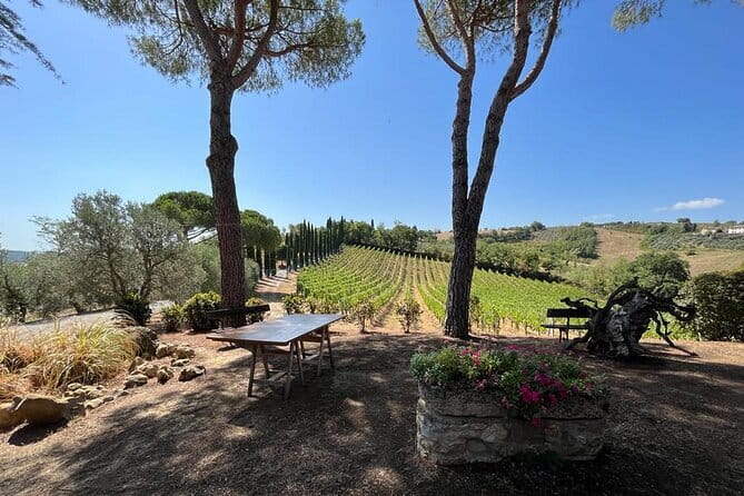 Wine Tasting and History Guided Day Tour in Chianti - Greve in Chianti shows the region’s everyday side