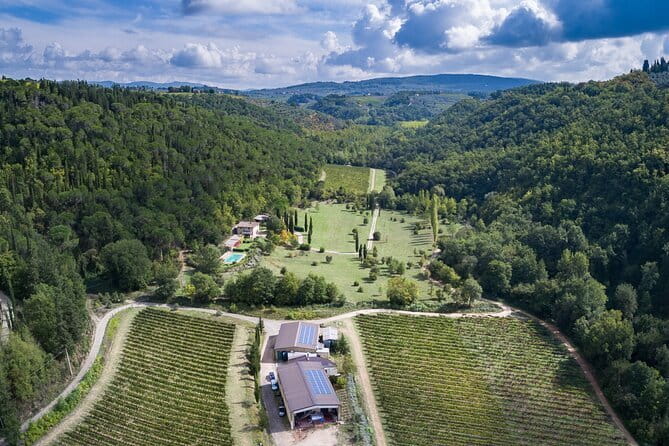 Wine Tasting by CarusVini in San Casciano in val di Pesa - A small winery visit near Florence