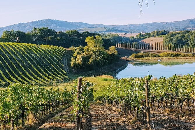 Wine Tasting by CarusVini in San Casciano in val di Pesa - Price and practical value at $18.07