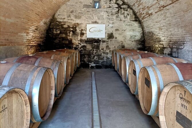 Wine Tasting Experience in Ponte Vecchio: Best Tuscany selection! - A modern format, with one important catch