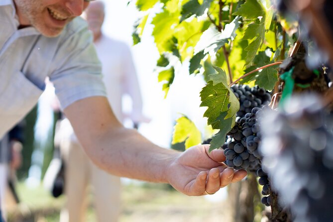 Winery Tour & Gourmet Tasting in Montalcino - The guides and the tone of the visit