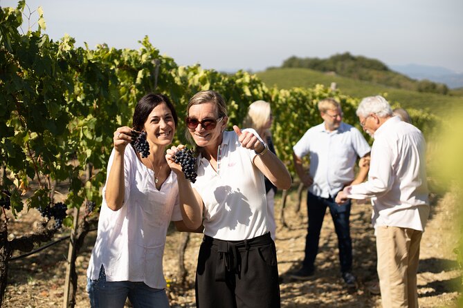 Winery Tour & Gourmet Tasting in Montalcino - Is $96.23 a fair price?