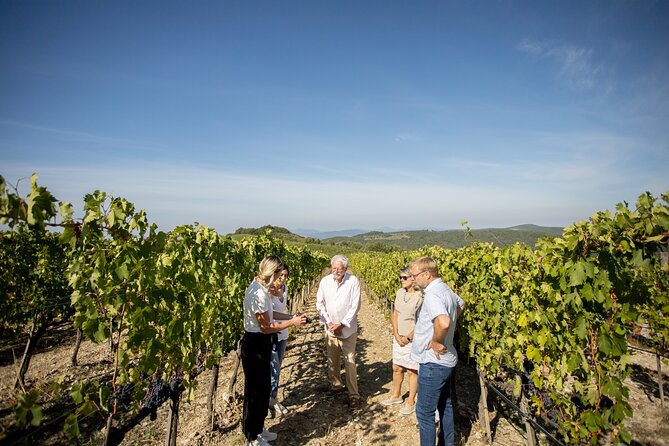 Winery Tour & Gourmet Tasting in Montalcino - Who will enjoy this Corte Pavone visit?
