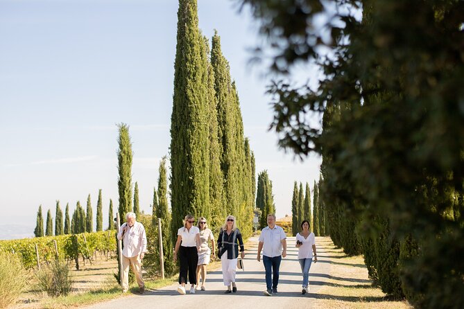 Winery Tour & Gourmet Tasting in Montalcino - Six wines served in three guided flights