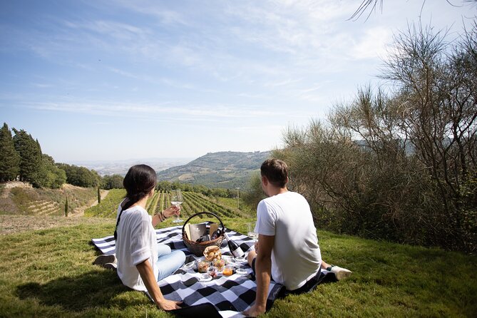 Winery Tour & picnic in the vineyard with a bottle of wine - Why the vineyard picnic is the main event