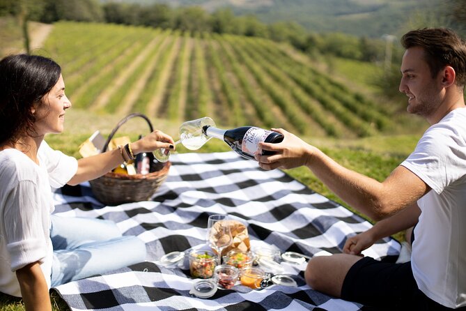 Winery Tour & picnic in the vineyard with a bottle of wine - Who will enjoy this experience most