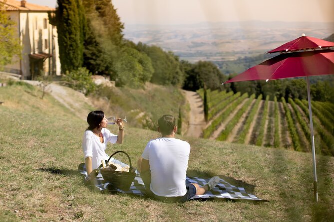 Winery Tour & picnic in the vineyard with a bottle of wine - Following the Brunello Cru path through the vines