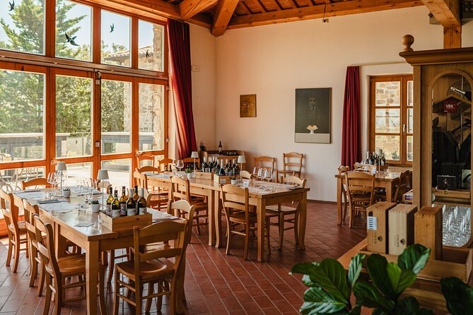 Winery tour & wine tasting in Montalcino - A Vineyard Walk Before the First Pour