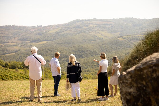 Winery tour & wine tasting in Montalcino - From Grape Processing to the Cross-Vaulted Cellar