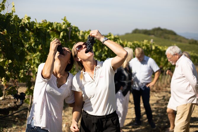 Winery tour & wine tasting in Montalcino - How the Price Measures Up