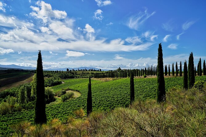 Winery tour & wine tasting in Montalcino - Who Will Get the Most From This Visit