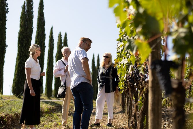 Winery tour & wine tasting in Montalcino - Practical Details Before You Book