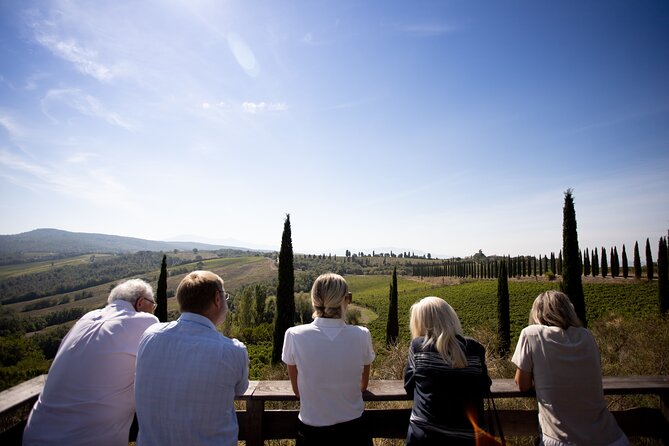 Winery tour & wine tasting in Montalcino - Should You Book the Corte Pavone Tour?